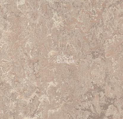 Линолеум Forbo Marmoleum Marbled Real 3232 Horse Roan фото 1 | FLOORDEALER